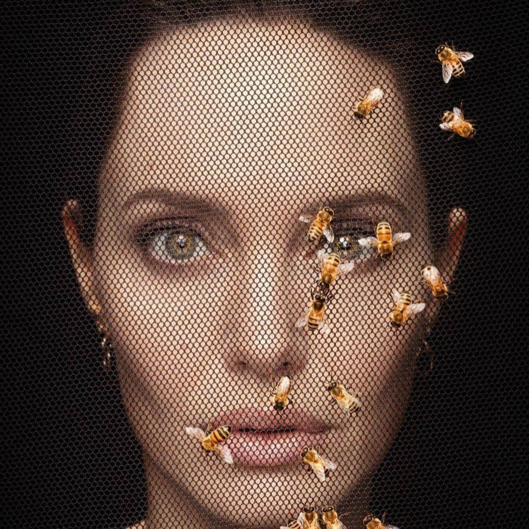Instagram.com/angelinajolie
