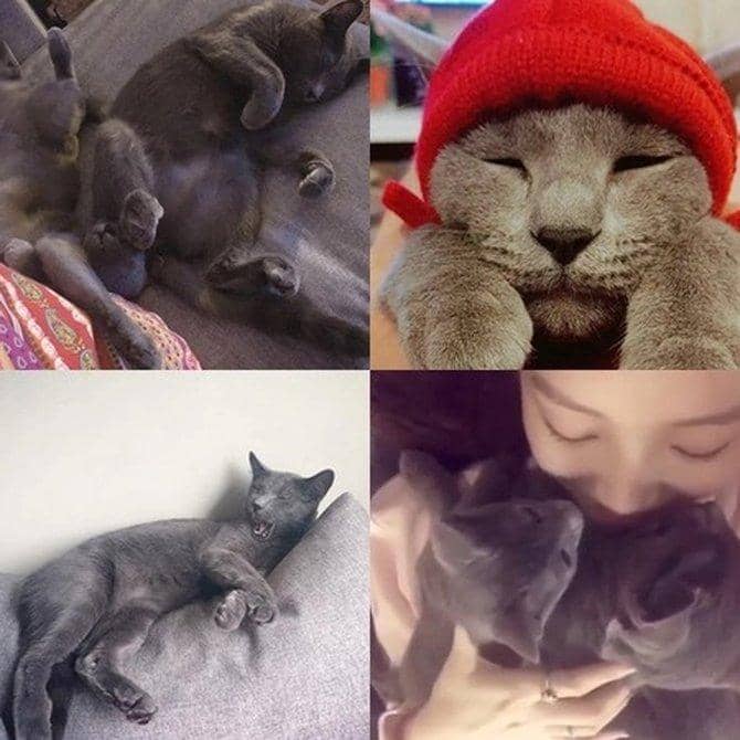 Instagram.com/0seungyeon