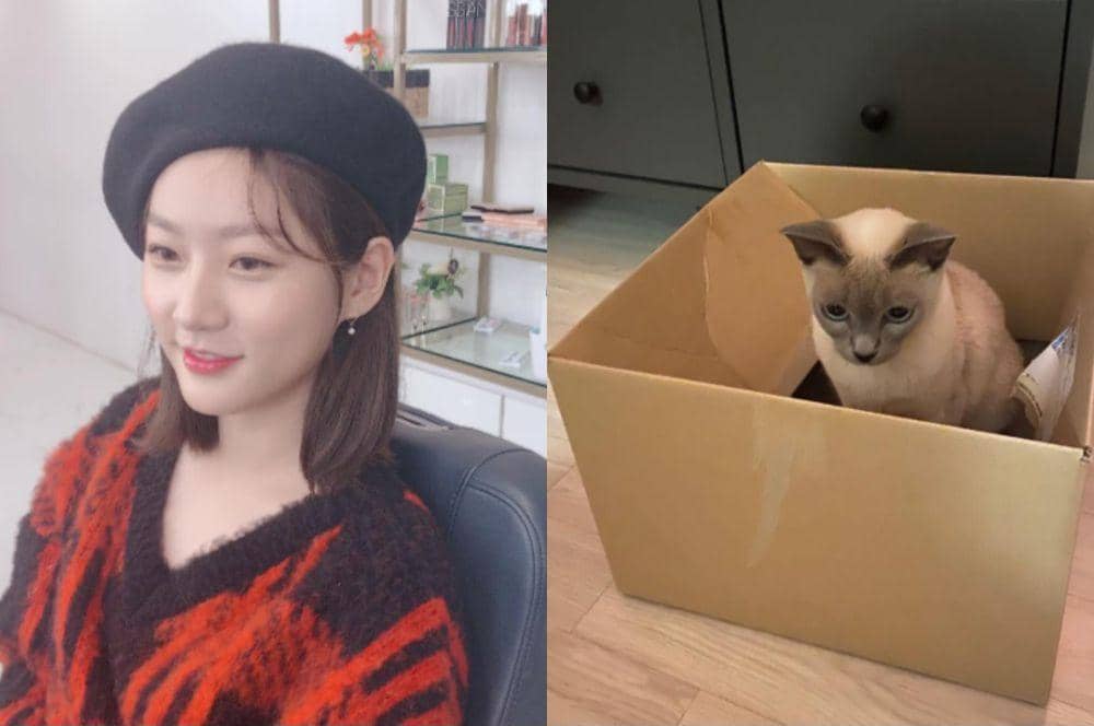 Instagram.com/ron_sae