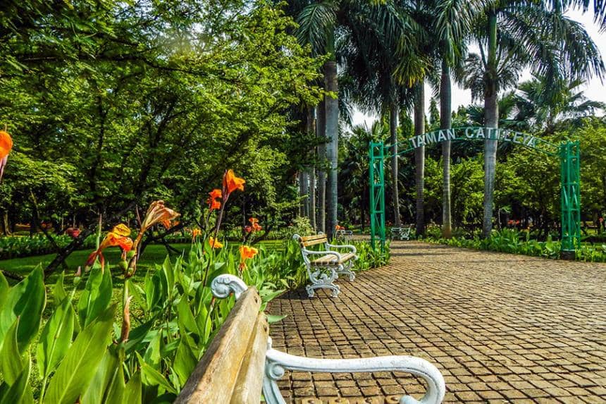 Taman Cattleya (dok. Jakarta Tourism/Taman Cattleya Slipi)