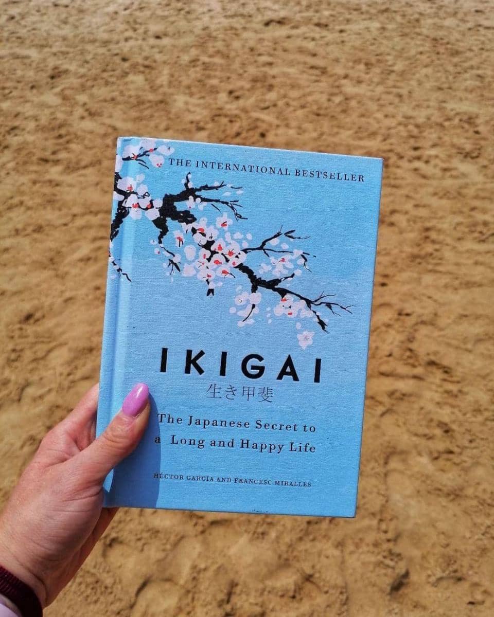 Instagram.com/anebez00