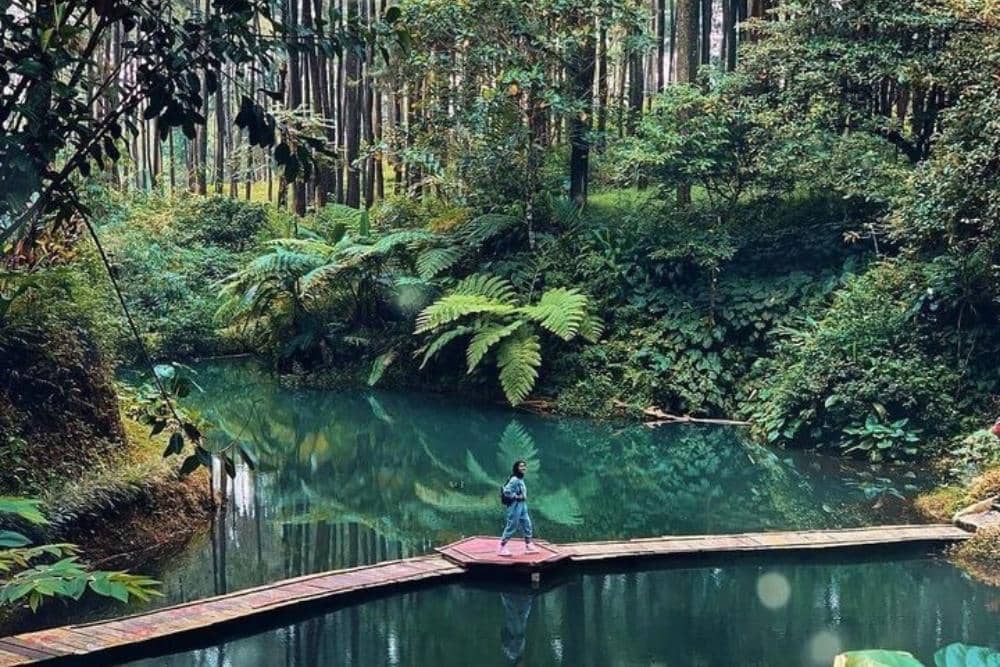 Instagram.com / ayodolan