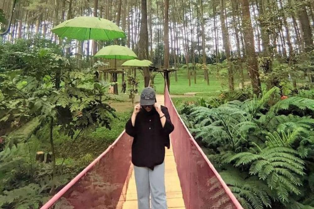 Instagram.com / kelilingtegal