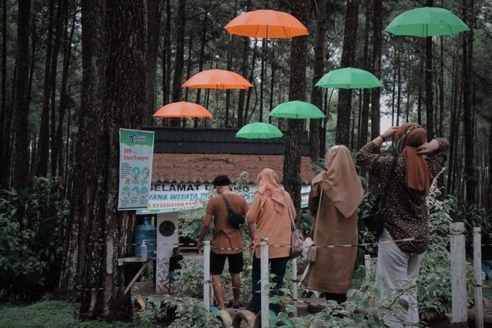 Instagram.com / jamalcov