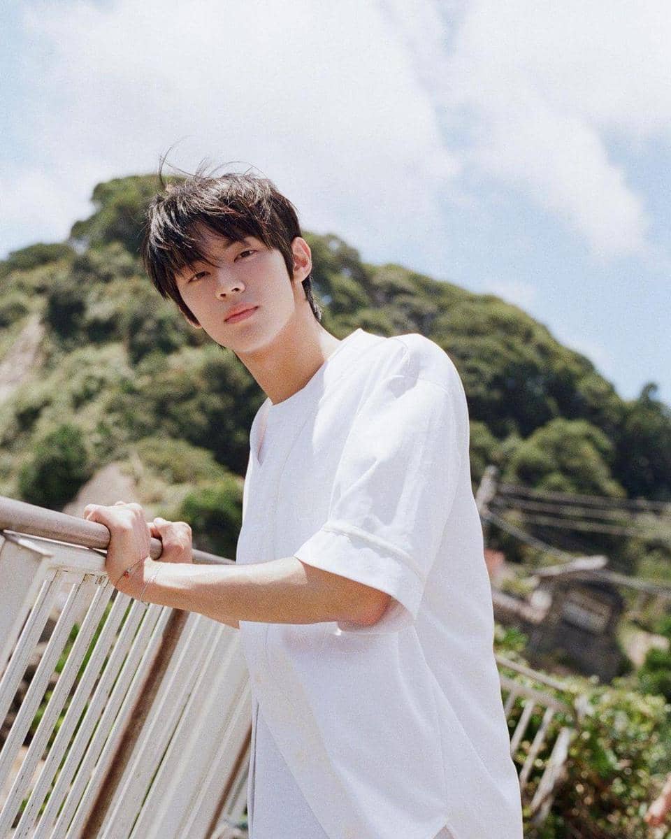 instagram.com/tws_pledis