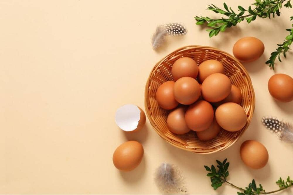 freepik.com/atlascompany