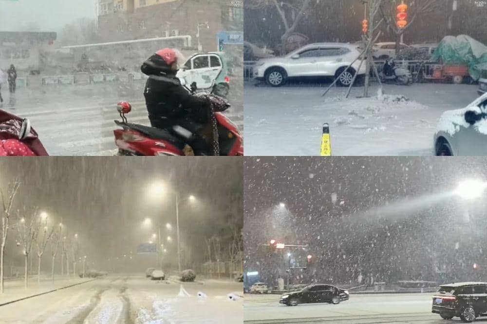 YouTube/Evolution Crisis