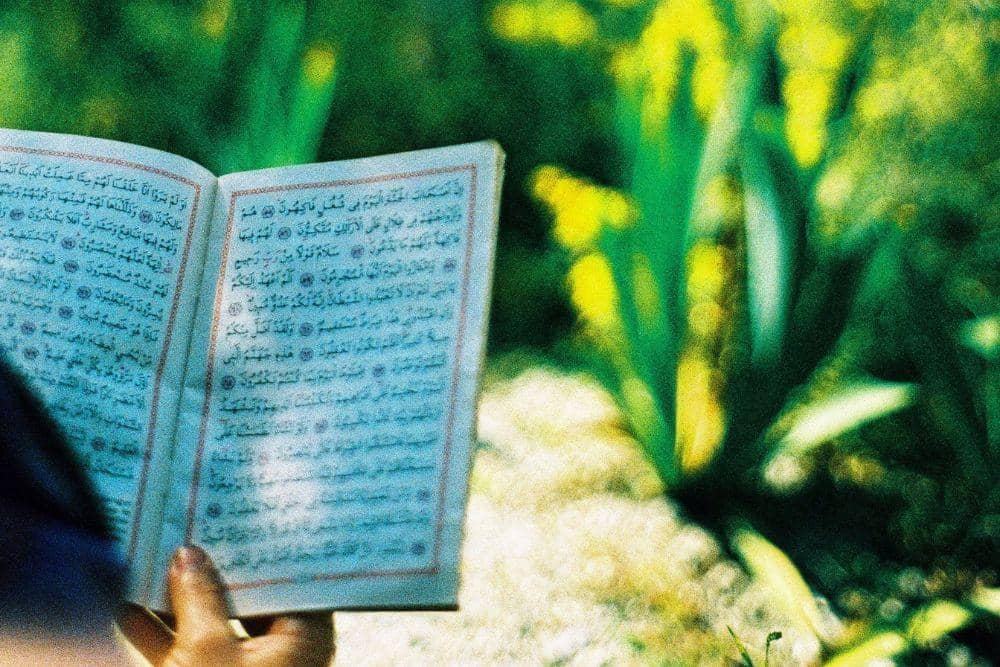 Pexels.com/ayşe key