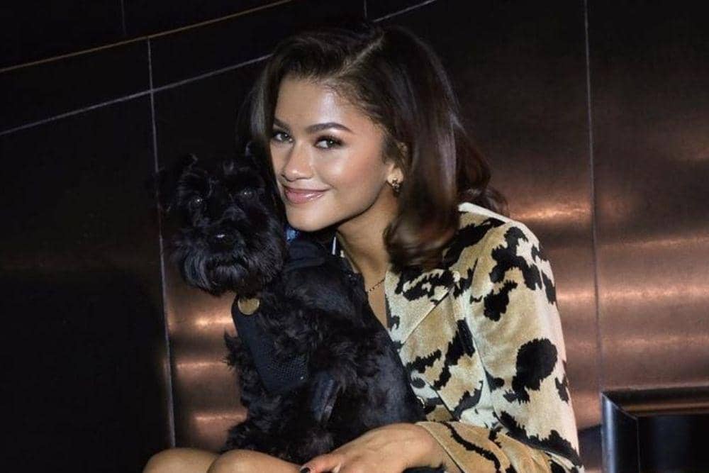 instagram.com/zendaya