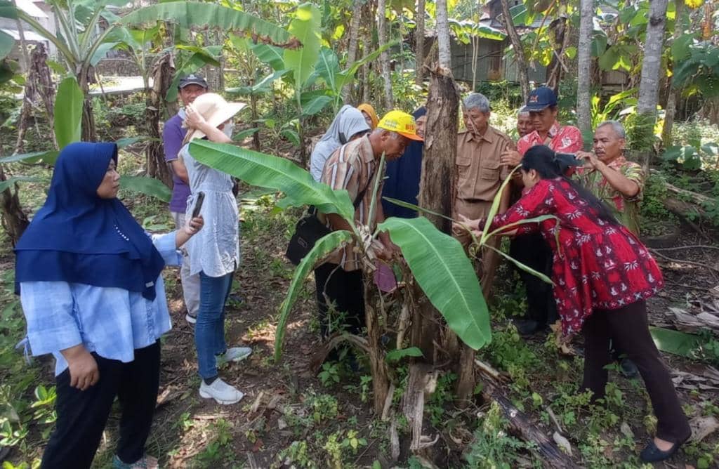 pkp.faperta.ugm.ac.id