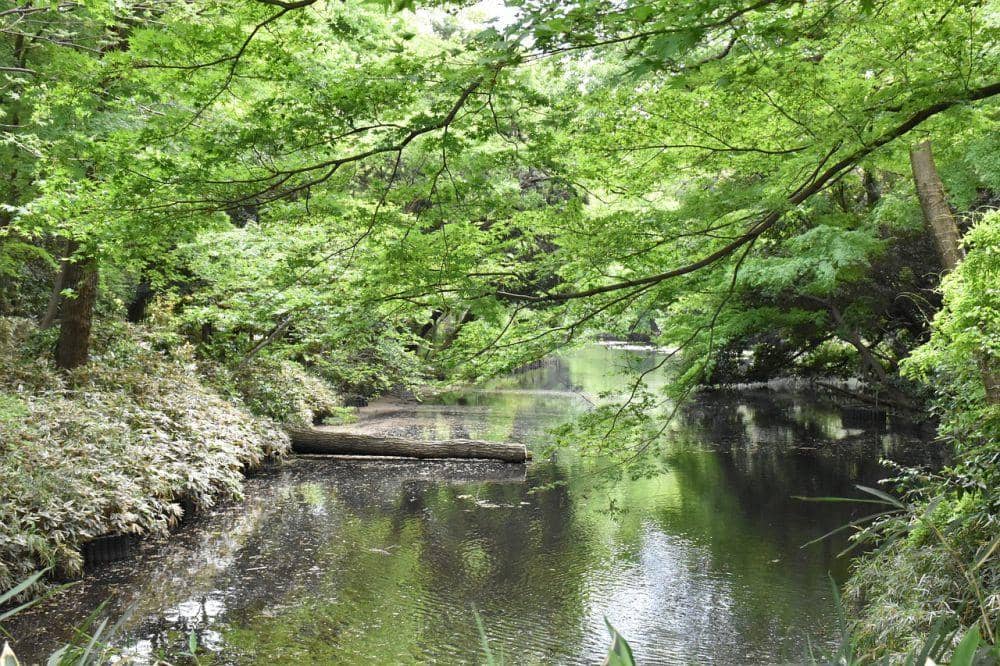 pixabay.com/seria2902