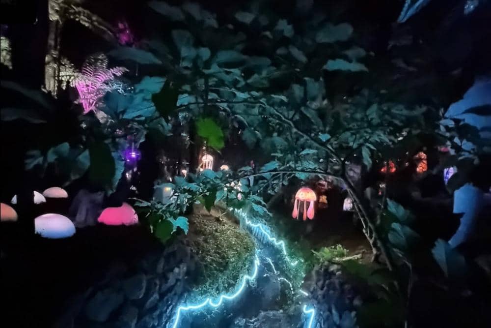 google.com/maps/leinad ynned