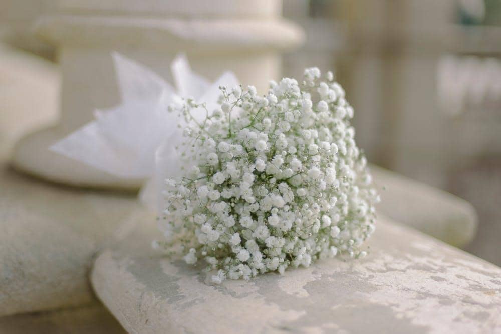 Pexels.com/Alina Skazka