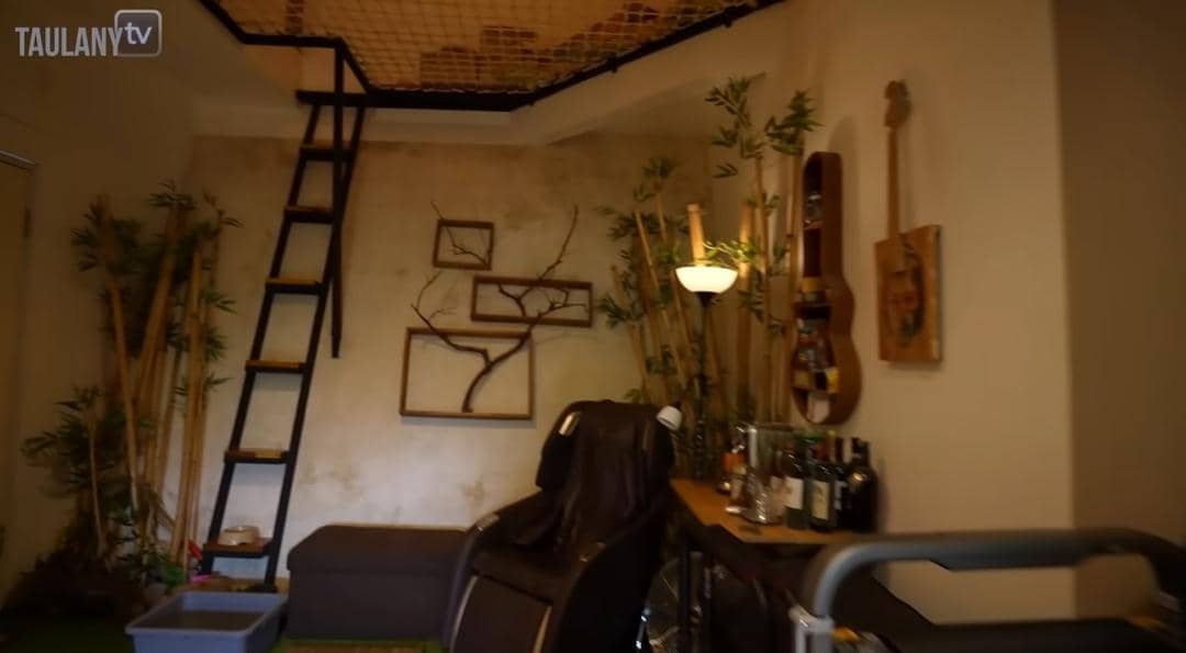 Dok. Youtube/TAULANY TV