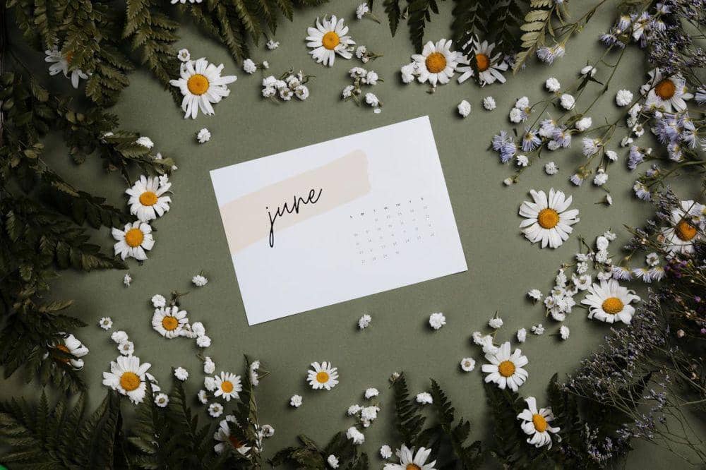 ilustrasi kalender bulan Juni