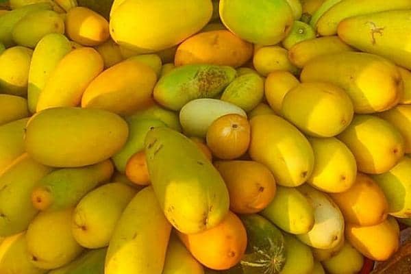 Instagram.com/kartikadjauhari