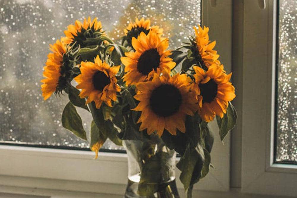 Pexels/Kristina Paukshtite