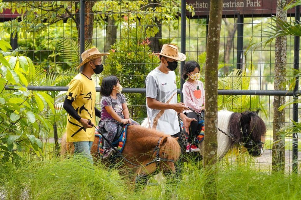 instagram.com/branchsto