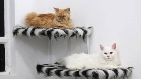 Reuters/Essam Al-Sudani