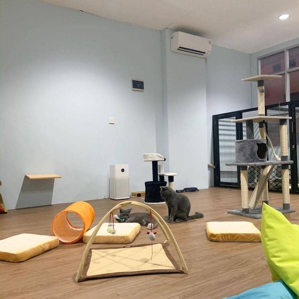 Instagram.com/miruhotel