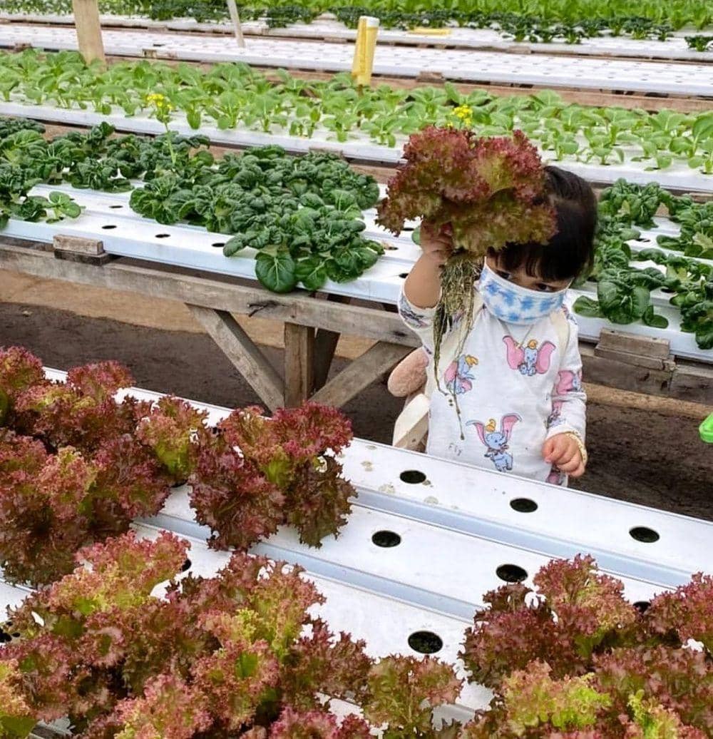 Instagram.com/jendelaalambandung