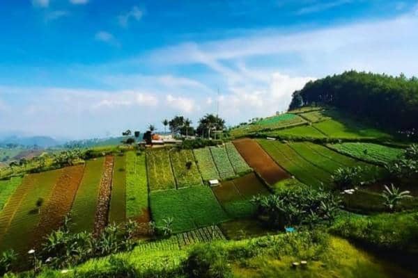 Instagram.com/ricky_jalanjalan