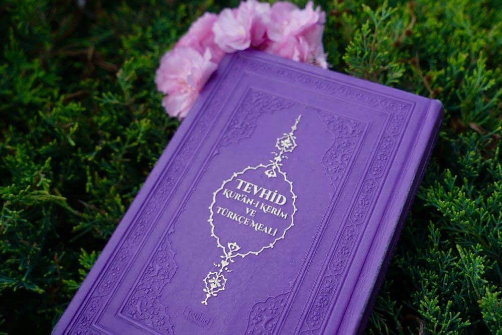 Pexels/  Pir Sümeyra