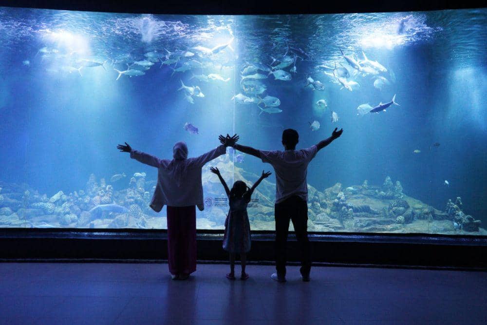 aquariumindonesia.com