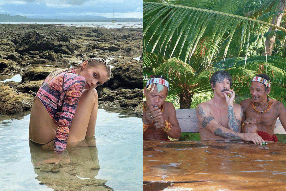 instagram.com/stellamaxwell