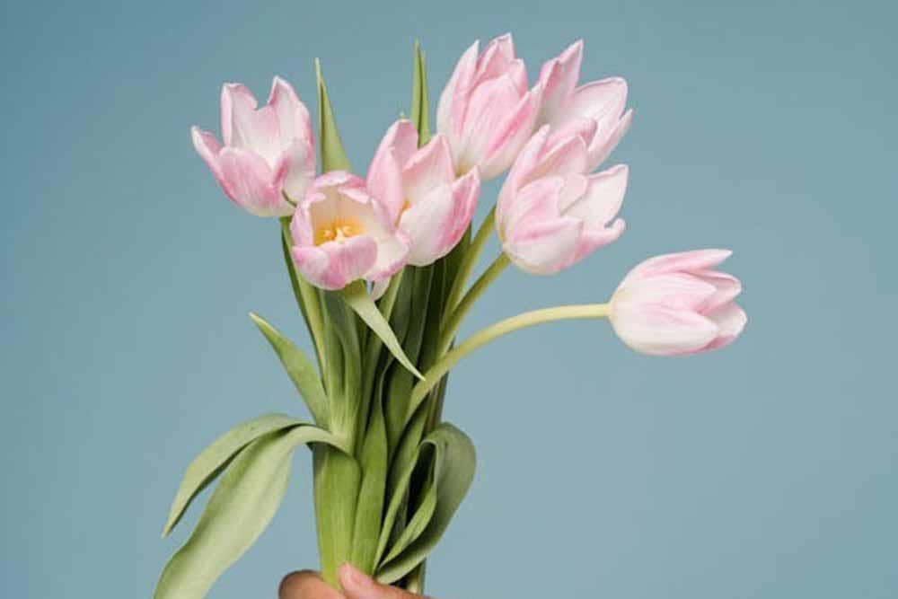 Pexels/Sora Shimazaki