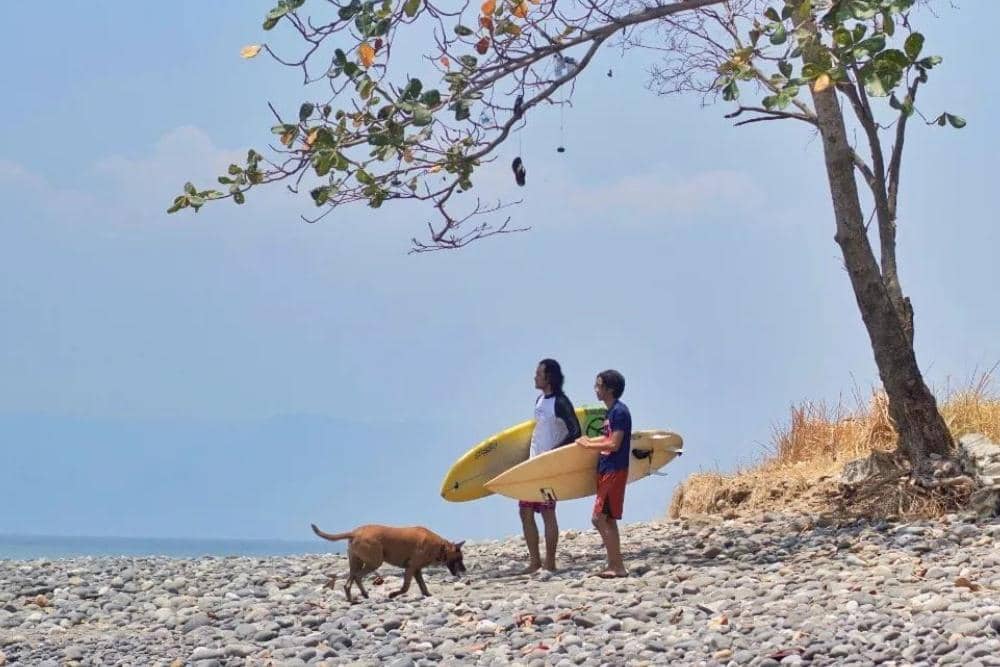 instagram.com/dwisasono