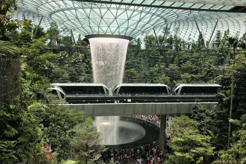 unsplash.com/curry_magic02