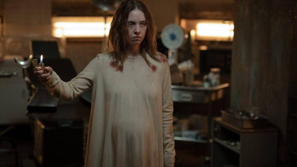 Dok. Black Bear/Immaculate