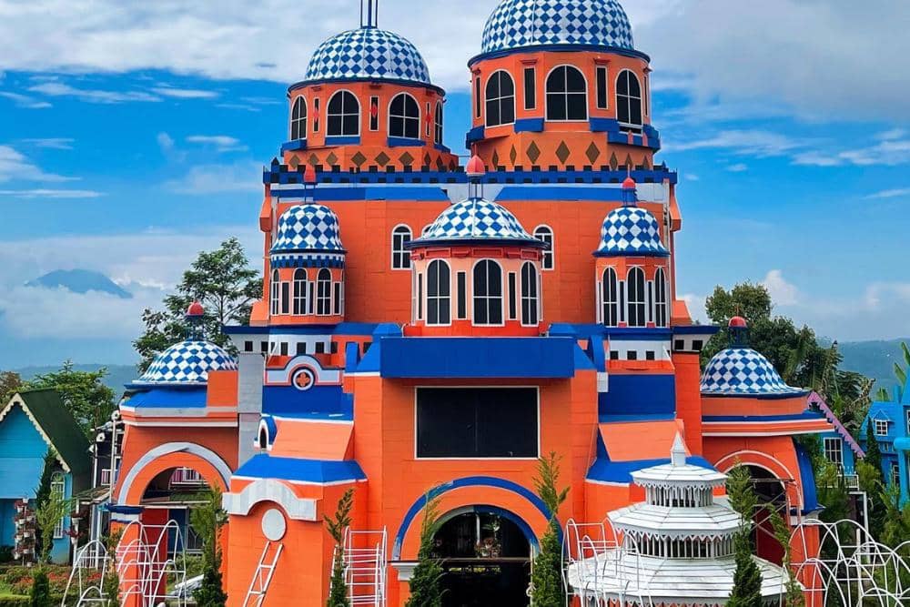 instagram.com/newcelosia