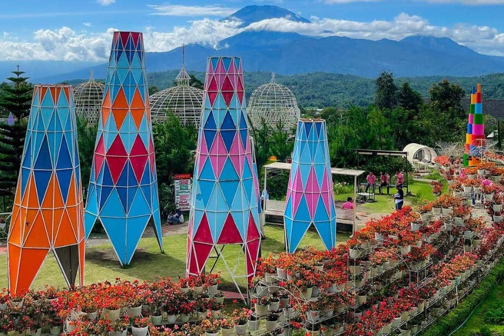 instagram.com/newcelosia