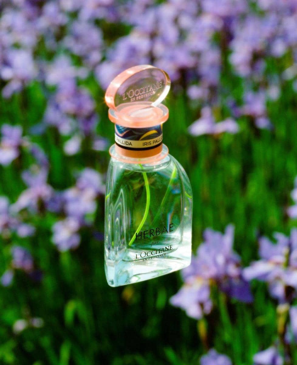 Popbela.com/L'Occitane