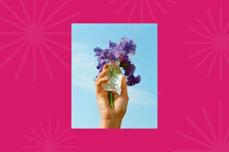 Ini Koleksi Wewangian Terbaru dari L’Occitane