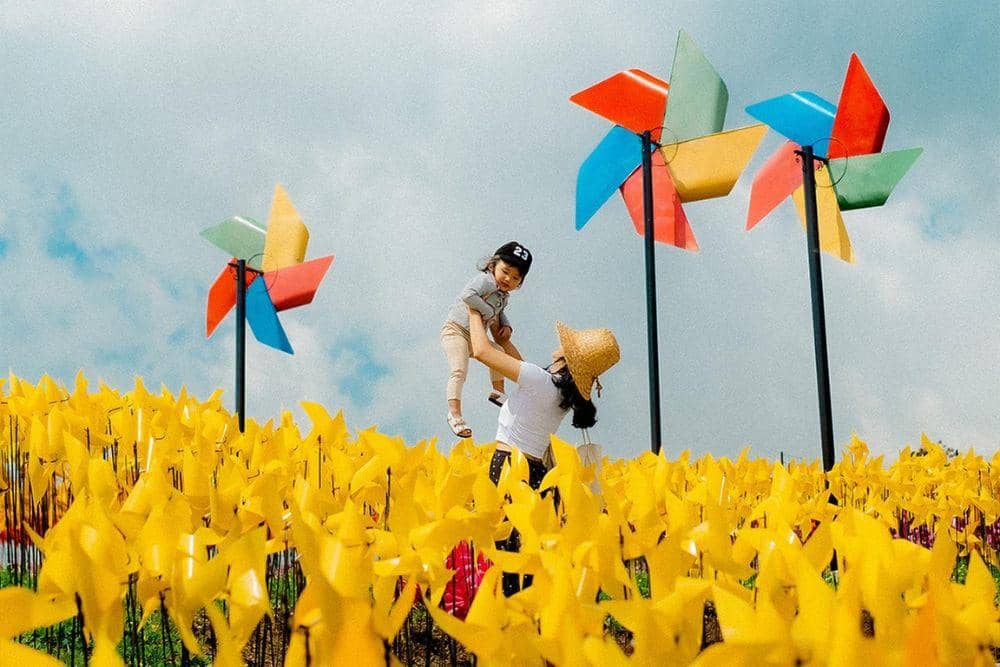 instagram.com/cepogo.cheesepark.boyolali