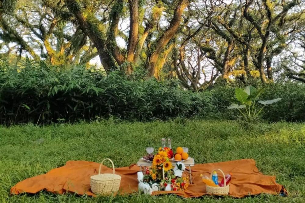 instagram.com/dedjawatanforest