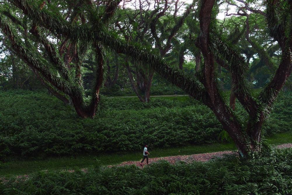 instagram.com/tom_juenemann