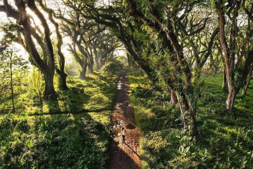 instagram.com/uniqbeauties