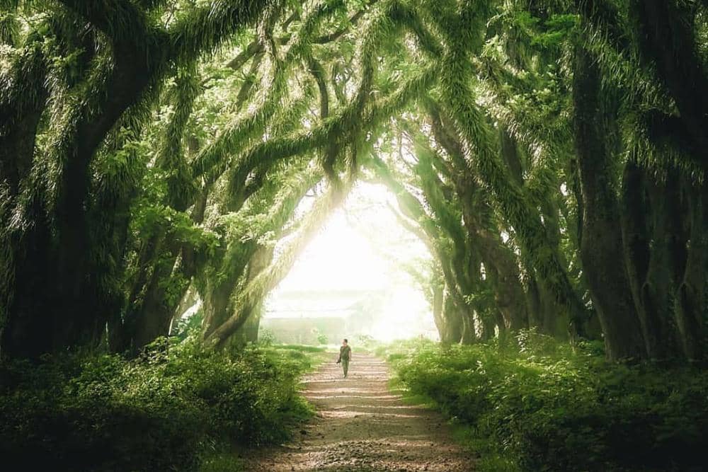 instagram.com/ekoyulist