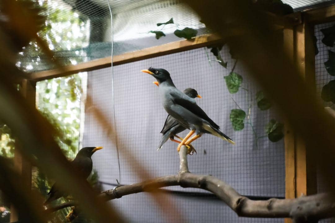 Dok. Summarecon Mall Bekasi