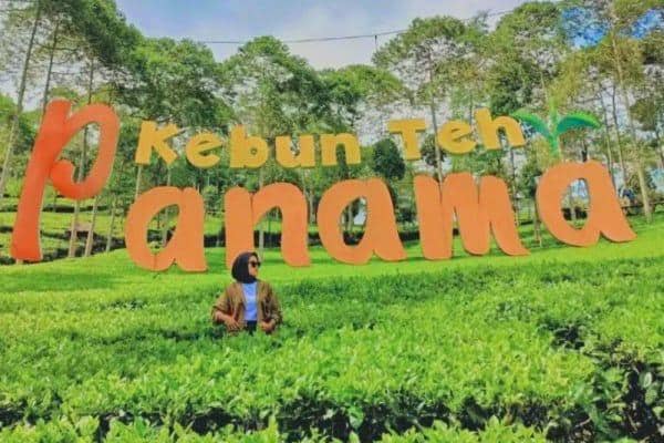 Instagram.com / kebuntehpanama