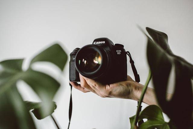 unsplash.com/Lilly Rum