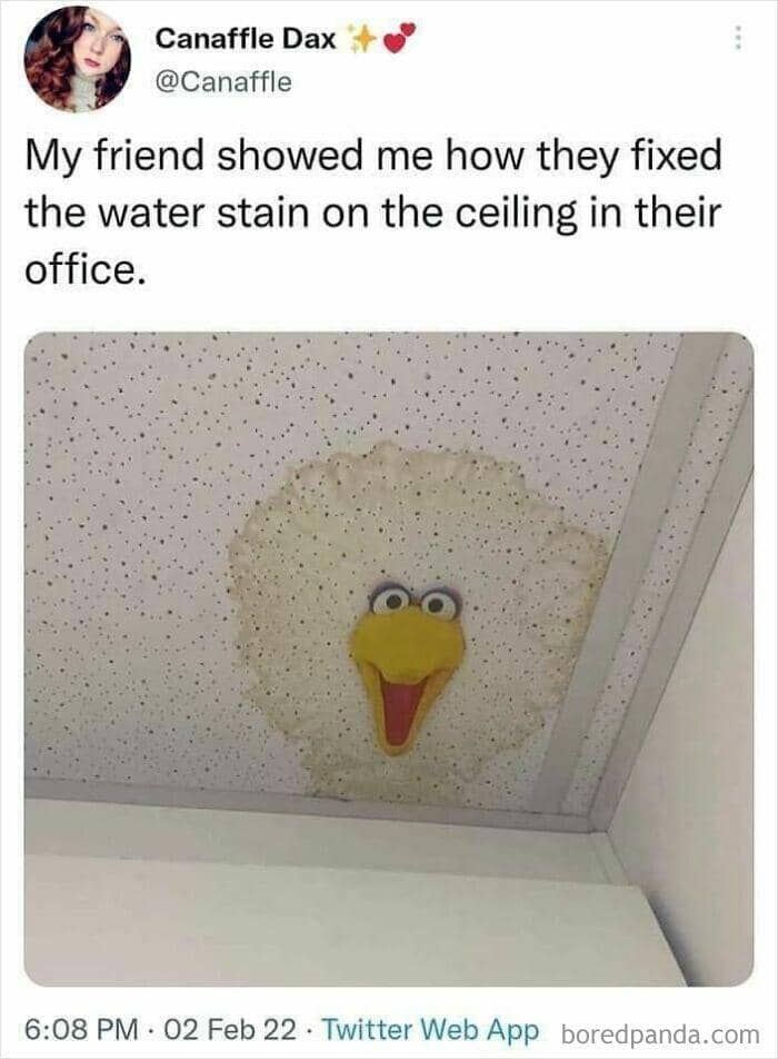 twitter.com/canaffle