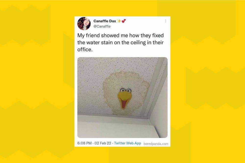 twitter.com/canaffle