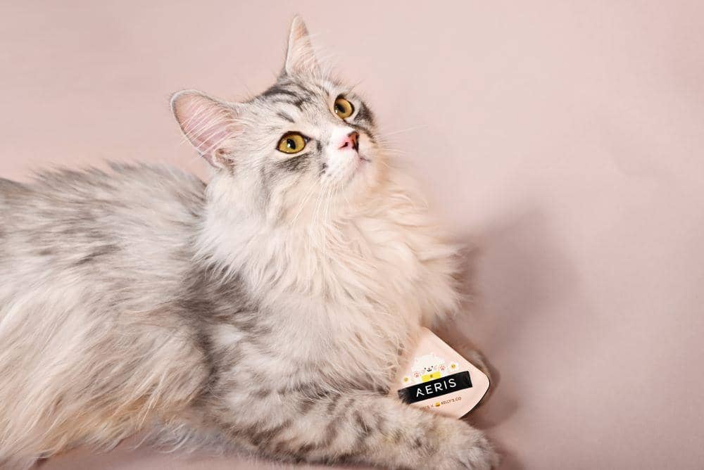 Popbela.com/Aeris Beauté