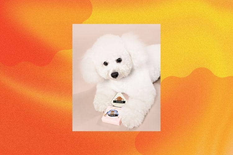 Popbela.com/Aeris Beauté