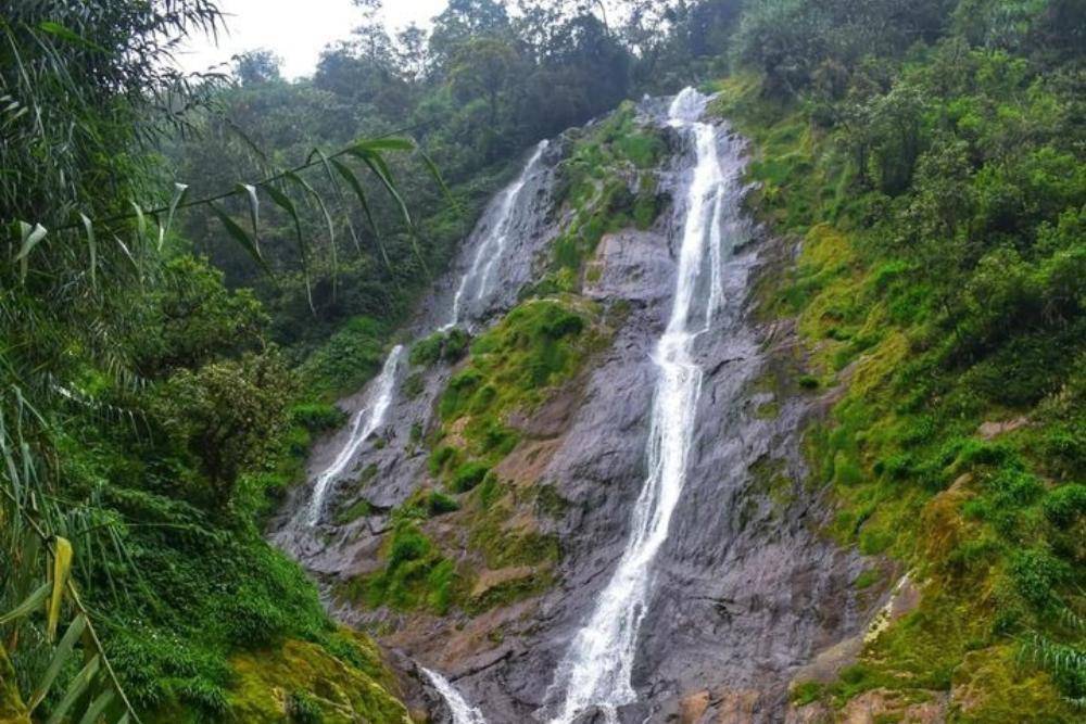 Curug Sikarim, Wonosobo: Rute, HTM, dan Aktivitas Seru